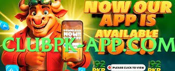 Pro pakspinx Top v6.5.0 Screenshot 2